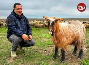 ببینید| غذای روستایی در آذربایجان؛ پخت خورشت و کباب با گو شت گوسفند در دشتی زیبا