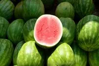 (ویدئو) این نرم افزار عجیب به شما کمک می کند تا هنداونه خوب و شیرین بخرید!