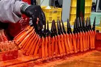 ببینید| فرآیند دیدنی تولید قیچی باغبانی در کره جنوبی