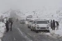 (ویدئو) بارش نادر برف در آفریقای جنوبی