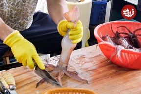 ببینید؛ غذای خیابانی در کره؛ برش انواع ماهی، مارماهی و ماهی مرکب و تهیه ساشیمی با آنها در ججو
