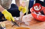 ببینید؛ غذای خیابانی در کره؛ برش انواع ماهی، مارماهی و ماهی مرکب و تهیه ساشیمی با آنها در ججو