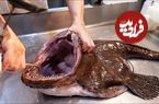 ببینید؛ غذای خیابانی در ژاپن؛ برش ماهرانه ماهی راهب و تهیه ساشیمی با آن در توکیو