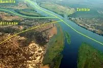 کشف تازه علمی: ریشه همه انسان‌ها در جنوب آفریقا بوده است!