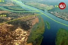 کشف تازه علمی: ریشه همه انسان‌ها در جنوب آفریقا بوده است!