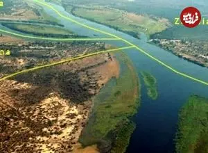 کشف تازه علمی: ریشه همه انسان‌ها در جنوب آفریقا بوده است!