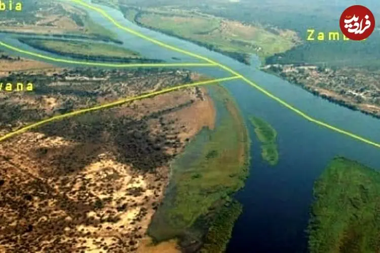 کشف تازه علمی: ریشه همه انسان‌ها در جنوب آفریقا بوده است!