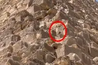 (ویدئو) ماجرای عجیب سگ‌هایی که از اهرام مصر بالا می‌روند