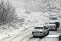 (ویدئو) درختان سفیدپوش سیاه بیشه در مازندران 