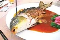 (تصاویر) این غذاهای عجیب با حیوانات زنده سرو می شوند!