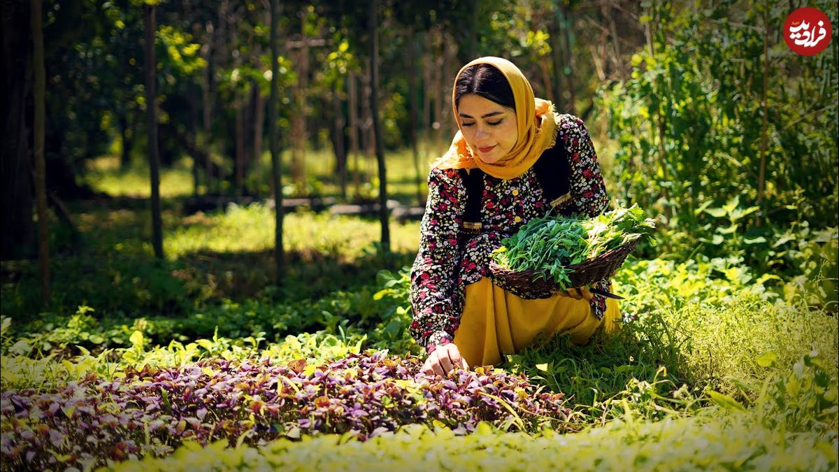 ببینید؛ غذای روستایی در ایران؛ برداشت سبزی تازه و پخت قورمه سبزی