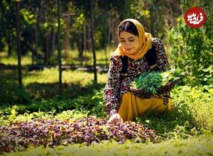 ببینید؛ غذای روستایی در ایران؛ برداشت سبزی تازه و پخت قورمه سبزی