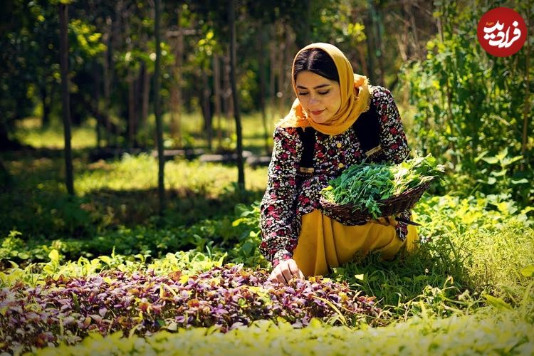 ببینید؛ غذای روستایی در ایران؛ برداشت سبزی تازه و پخت قورمه سبزی