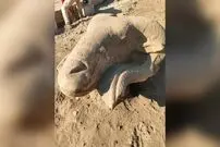 کشف مجسمه‌های باستانی قوچ در مصر