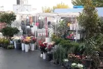 عکس| سفر به تهران قدیم؛ یک گلفروشی در خیابان جمهوری؛ سال 1349