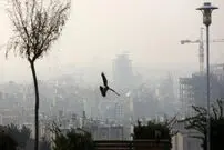 تصاویر؛ تصاویری آخرالزمانی از آلودگی هوا در منطقه ۱۲ تهران