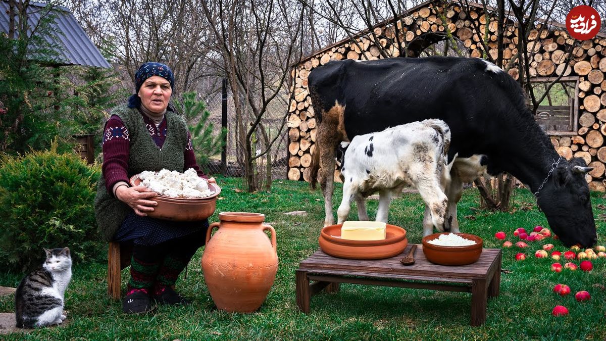 ببینید؛ غذای روستایی در آذربایجان؛ تهیه کره و پنیر محلی به روش مادربزرگ روستایی