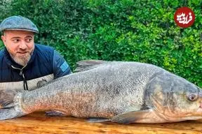 ببینید| غذای روستایی در آذربایجان؛ کباب کردن یک ماهی بزرگ در تنور