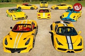 تصاویر؛ ماشین‌باز واقعی؛ مردی با ۴۸ فراری، مالک نادرترین مجموعه اسب‌های مارانلو 