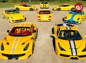 تصاویر؛ ماشین‌باز واقعی؛ مردی با ۴۸ فراری، مالک نادرترین مجموعه اسب‌های مارانلو 