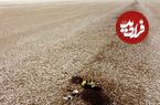 کشف یک سیستم آبیاری در عراق که در زمان «شورش بردگان علیه خلافت عباسی» ساخته شده است