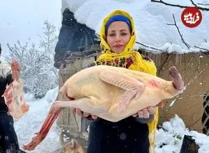 ببینید| غذای روستایی در ایران؛ پخت غذاهای سنتی با بوقلمون و مرغ در هوای برفی