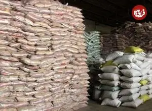 قیمت مصوب برنج پاکستانی و شکر اعلام شد؛ برنج هندی و ایرانی با چه قیمتی عرضه می شود؟