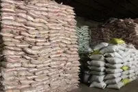 قیمت مصوب برنج پاکستانی و شکر اعلام شد؛ برنج هندی و ایرانی با چه قیمتی عرضه می شود؟