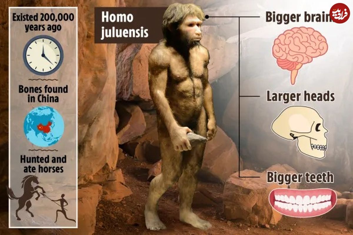 کشف یک گونه انسانی جدید با مغز و سر بزرگتر متعلق به ۲۰۰,۰۰۰ سال پیش