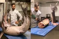 ببینید| غذای خیابانی در ترکیه؛ برش و پخت غذاهای متنوع با شمشیر ماهی غول پیکر