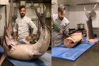 ببینید| غذای خیابانی در ترکیه؛ برش و پخت غذاهای متنوع با شمشیر ماهی غول پیکر