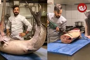 ببینید| غذای خیابانی در ترکیه؛ برش و پخت غذاهای متنوع با شمشیر ماهی غول پیکر