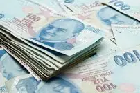 قیمت لیر ترکیه امروز شنبه 2 خرداد 1405؛ رشد 5 تومانی