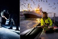 تصاویر؛ برندگان مسابقه 2025 عکاسی علمی Nature معرفی شدند: از ردیابی نهنگ تا پژوهش در قطب