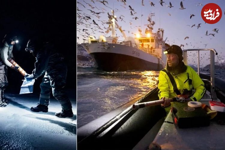 تصاویر؛ برندگان مسابقه 2025 عکاسی علمی Nature معرفی شدند: از ردیابی نهنگ تا پژوهش در قطب