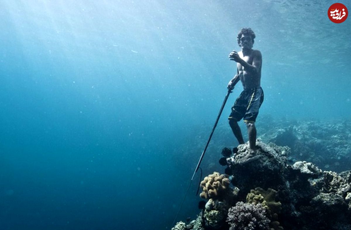 (ویدئو و تصویر) باجائوها؛ اولین انسان های جهش یافته برای سازگاری با زندگی زیر آب!