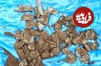 گنج 3 هزارسالۀ «زباله‌های بازیافتی» در یک مزرعه کشف شد
