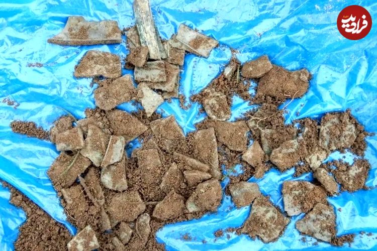گنج 3 هزارسالۀ «زباله‌های بازیافتی» در یک مزرعه کشف شد