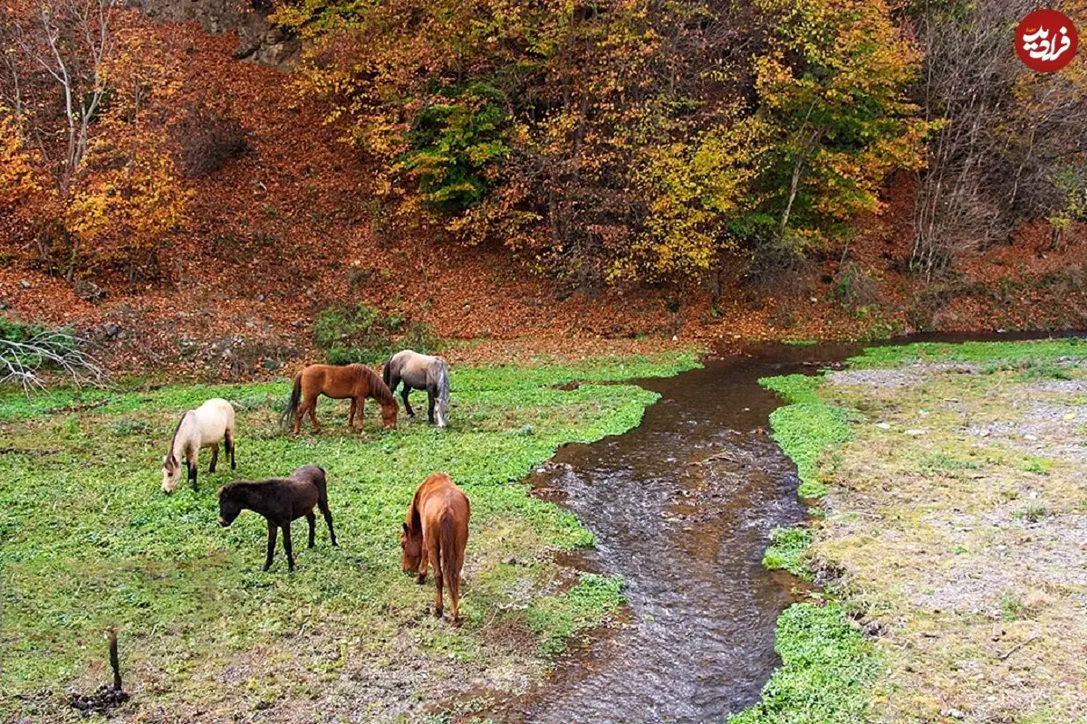 تصاویر؛ زیباترین جاده ایران امروز ۹۲ ساله شد