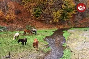 تصاویر؛ زیباترین جاده ایران امروز ۹۲ ساله شد