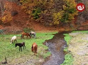 تصاویر؛ زیباترین جاده ایران امروز ۹۲ ساله شد