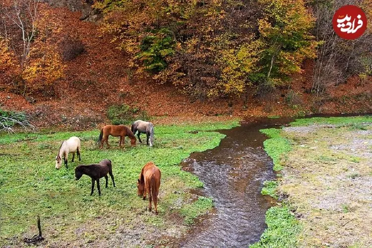 تصاویر؛ زیباترین جاده ایران امروز ۹۲ ساله شد
