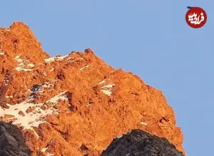 ببینید| بزهای کوهی در میان نخستین برف ارتفاعات البرز