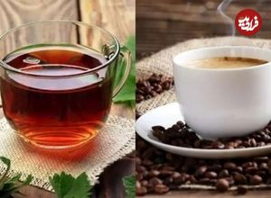 قهوه یا چای؛ کدام یک برای سلامت شما بهتر است؟