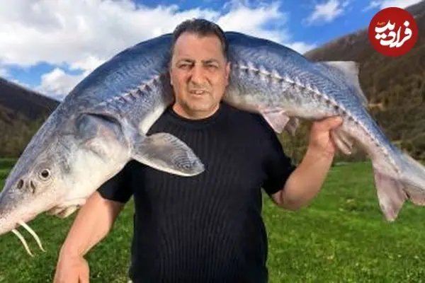 ببینید| غذای روستایی در آذربایجان؛ پخت غذاهای سنتی با ماهی خاویاری