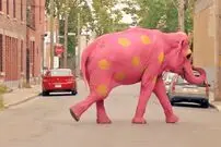 (ویدئو) دوربین مخفی فیل صورتی؛ پلیس راننده‌ها را به توهم و مصرف الکل متهم می کند!