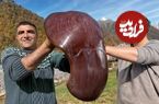 ببینید؛ غذای روستایی در آذربایجان؛ پخت  غذا با جگر گاو و سبزیجات در طبیعت