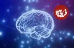 مغز همیشه برای شکل‌گیری خاطره آماده نیست؛ پنجره‌های کوتاه حافظه‌سازی