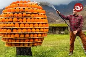 ببینید| غذای روستایی در آذربایجان؛ برداشت خرمالو و تهیه مربا با آن و کباب بره در طبیعت