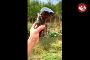 ببینید| پوکمون زنده دنیای واقعی را ببینید!